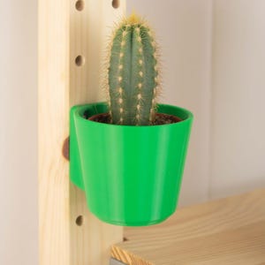 Kaktus hintern pflanzer - Etsy.de