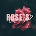 roseandleavesleather
