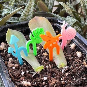 May include: Four small plastic plant markers in a black container with soil and succulent leaves. The markers feature a light blue mushroom, a bright green monstera leaf, an orange bee, and a light pink snail, each with a two-pronged base.