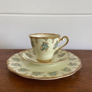 Vintage Salisbury Bone China Trio Floral Pattern with Gold accents (A)