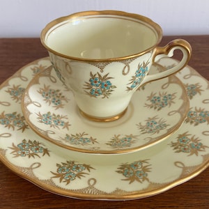 Vintage Salisbury Bone China Trio Floral Pattern with Gold accents (B)