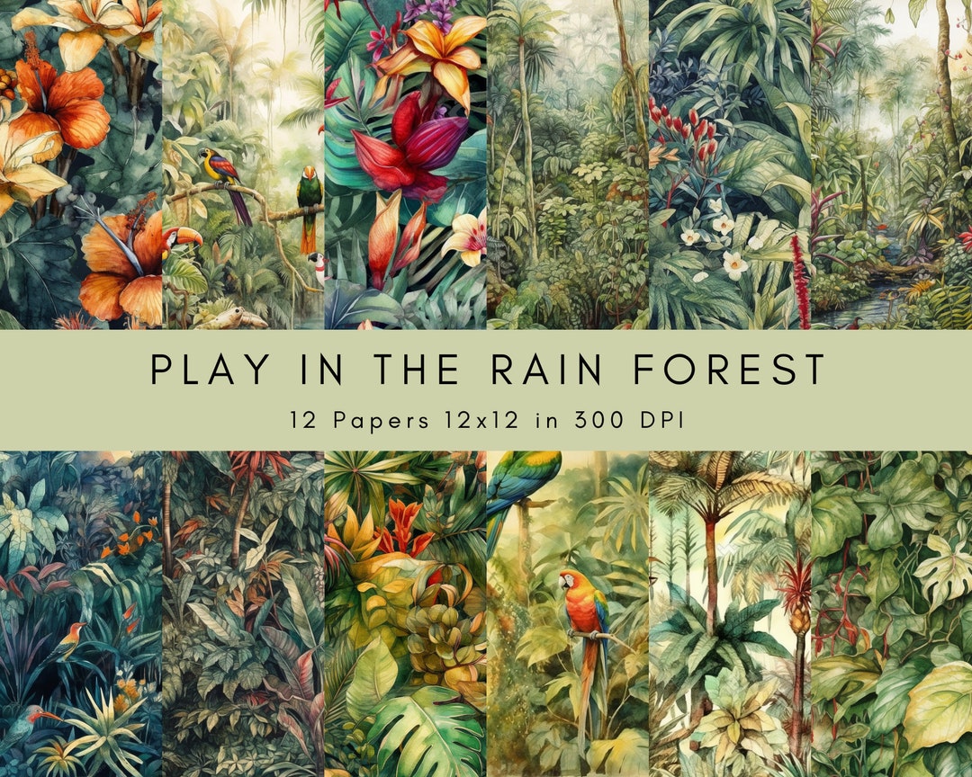Rainforest Paper Pack Rainforest Decor Kids Crafts - Etsy