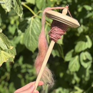 May include: A wooden drop spindle with a pink fiber attached. The spindle has a wooden shaft and a round wooden whorl. The pink fiber is wrapped around the shaft and hangs down. The background is blurred green foliage.