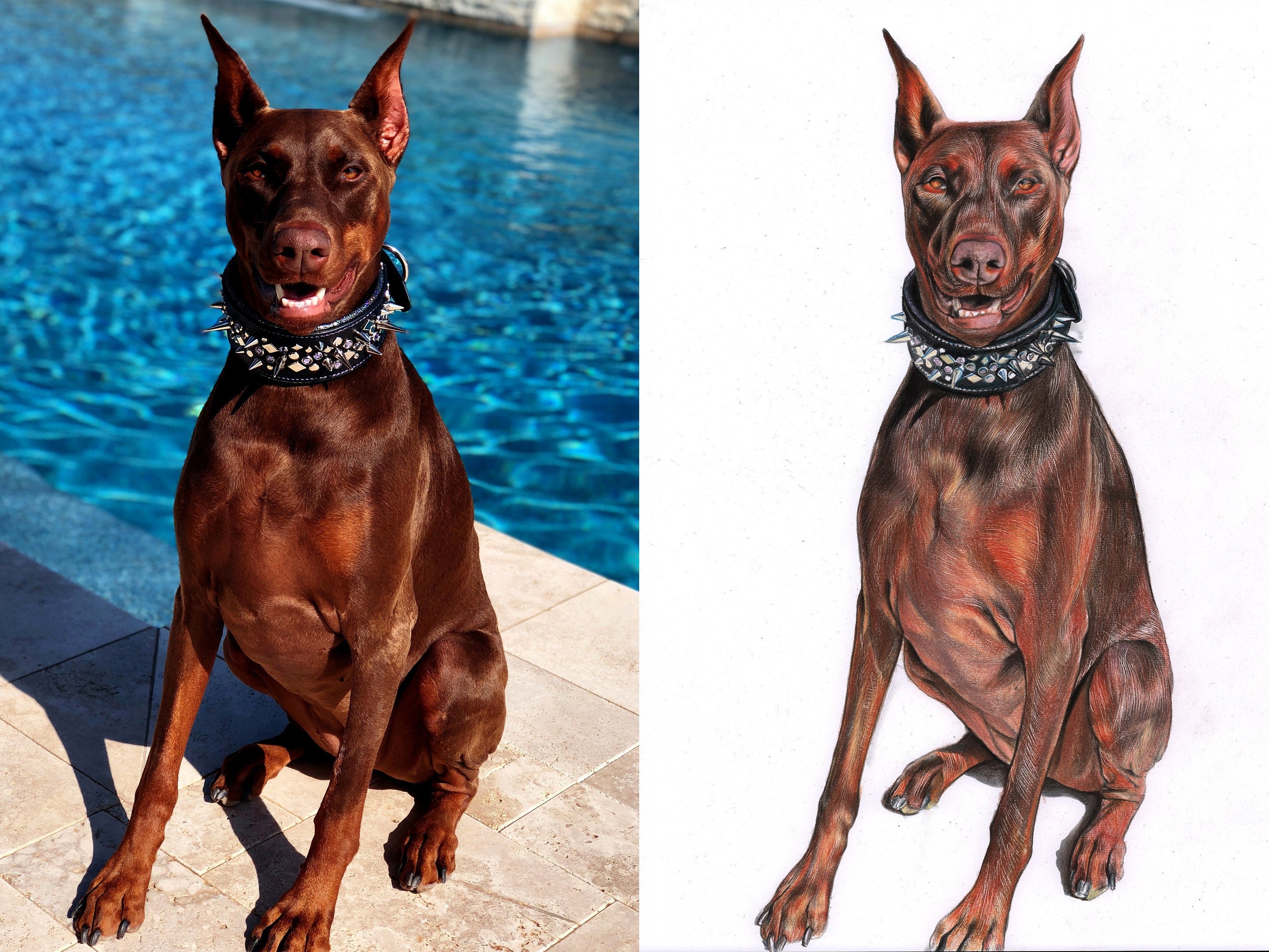 Pet Portrait Custom Dog / Original Pet Drawing: Turn Your Pet's Photo ...
