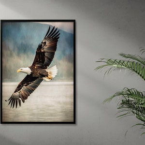 Águila calva americana, volando, americana, arte, pintura, naturaleza, impresión de pared, descarga digital, arte de pared imprimible, pintura de animales, descargable