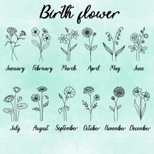 Pu&ograve; includere: Un grafico con disegni a linea nera di fiori che rappresentano i mesi di nascita. Gennaio: Garofano, Febbraio: Violetta, Marzo: Narciso, Aprile: Margherita, Maggio: Mughetto, Giugno: Rosa, Luglio: Ninfea, Agosto: Papavero, Settembre: Campanella, Ottobre: Calendula, Novembre: Crisantemo, Dicembre: Narciso.