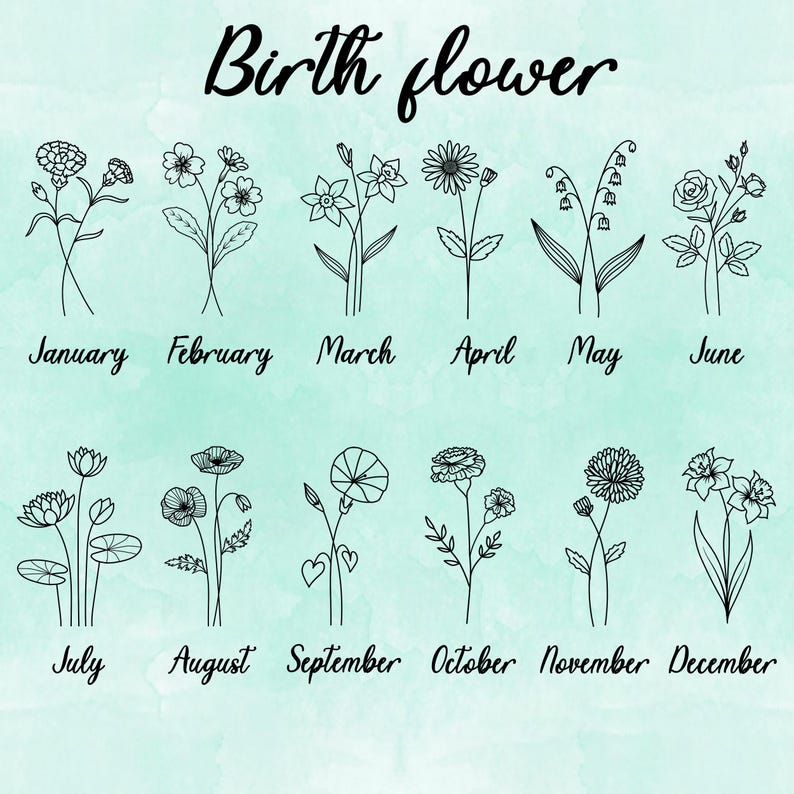 Pu&ograve; includere: Un grafico con disegni a linea nera di fiori che rappresentano i mesi di nascita. Gennaio: Garofano, Febbraio: Violetta, Marzo: Narciso, Aprile: Margherita, Maggio: Mughetto, Giugno: Rosa, Luglio: Ninfea, Agosto: Papavero, Settembre: Campanella, Ottobre: Calendula, Novembre: Crisantemo, Dicembre: Narciso.