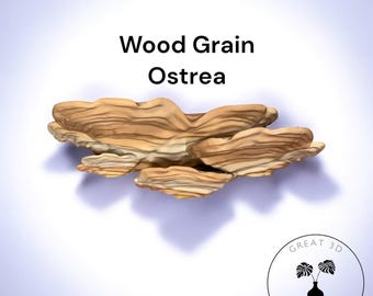 Ostrea Fungus Shelf | 3D Printed Floating Wall Decor