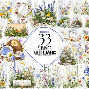 Clipart de flores silvestres de verão PNG, imagens de natureza floral de verão, flores silvestres para impressão, colagem, álbum de recortes, diário de lixo etc.