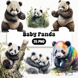 Baby Panda Clipart - High Quality JPGs PNGs, Full Commercial Use, Digital Paper Craft, Watercolor, Greeting Card Making, Wrapping paper