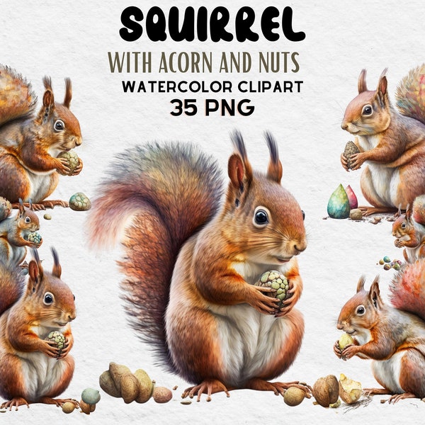 Squirrel With Nuts Watercolor Clipart, Birthday Party Decor Graphics, Cute Baby Shower Graphics, Nursery Decor Wall Art, Woodland Animal