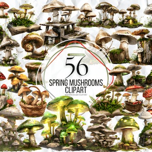 Bundle de cliparts champignons printaniers aquarelle - mignon champignon vénéneux nature forêt clip art format PNG téléchargement immédiat pour un usage commercial