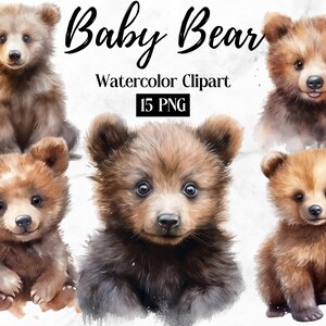 Baby Bär Clipart | Aquarell Clipart Bär | Waldtiere | Süße Waldtiere | Baby Bär PNG | Baby Tiere Druck