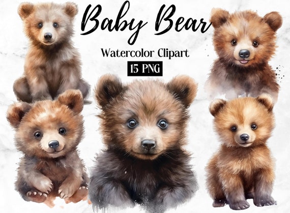 Baby Bear Clipart | Watercolor Clipart Bear | Woodland Animals | Cute Forest Animals | Baby Bear PNG | Baby Animals Print