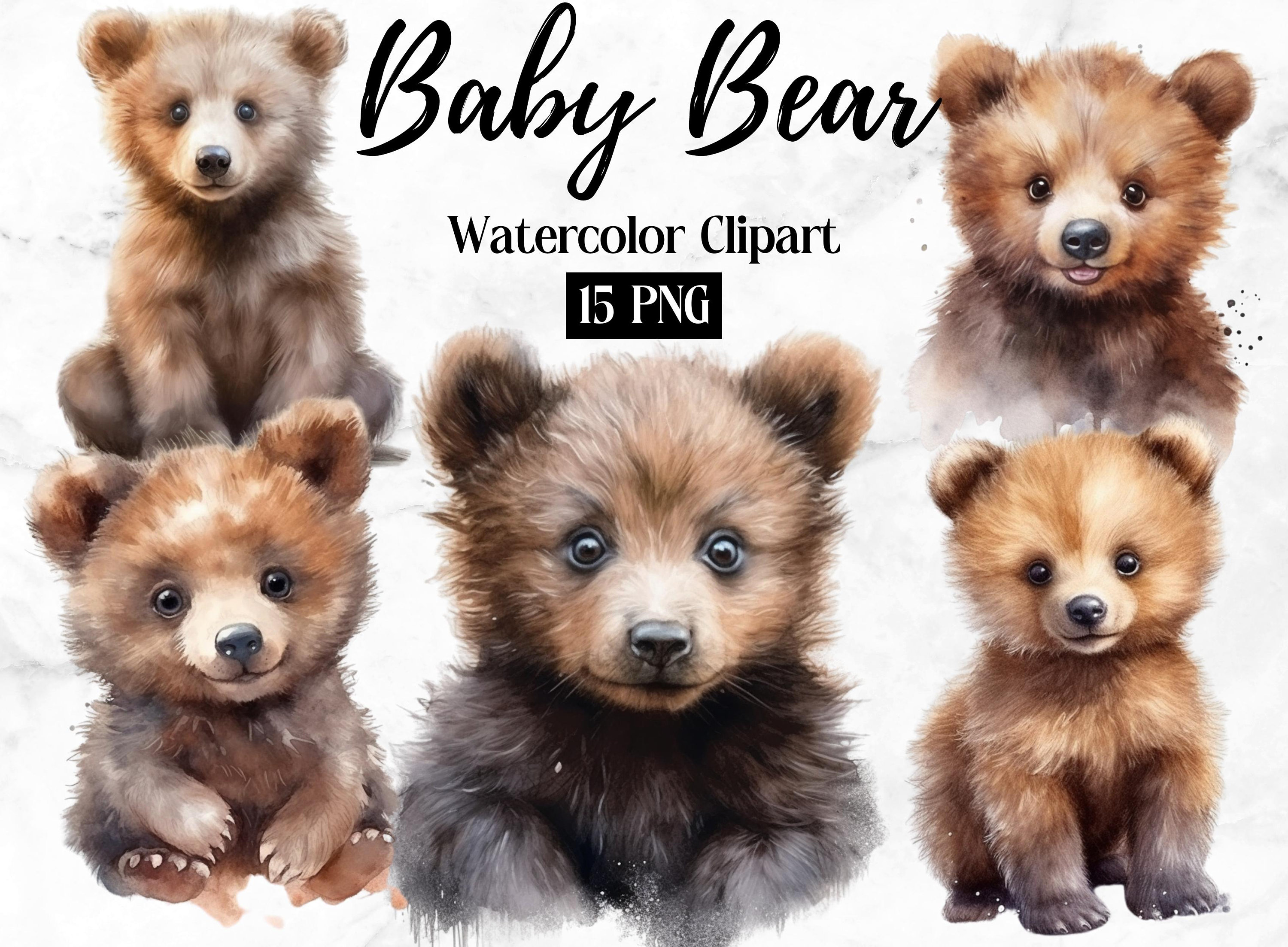 Baby Bear Clipart | Watercolor Clipart Bear | Woodland Animals | Cute Forest Animals | Baby Bear PNG | Baby Animals Print