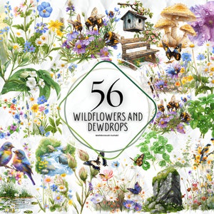 Clipart di gocce di rugiada e fiori di campo dell'acquerello, pacchetto di clip art di fiori selvatici, clipart di fiori primaverili, png di fiori di campo, diario spazzatura scrapbooking