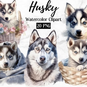 Siberian Husky Clipart | Husky Dog PNG | Watercolor Dog Lovers Digital Portrait | Cute Dog Clipart | Puppies Clipart | Commercial License
