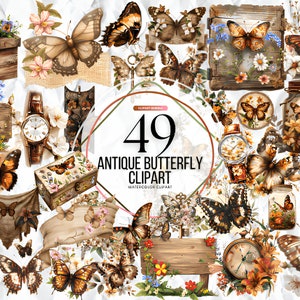 49 Vintage Antique Butterflies Clipart - antique digital butterfly illustrations in png clip art format instant download for commercial use