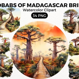 Baobabs Tree Bridge Clipart Landscape, Trees Digital watercolor png Bridge, Watercolor Clipart Spring, Forest Trees illustration Digital Art