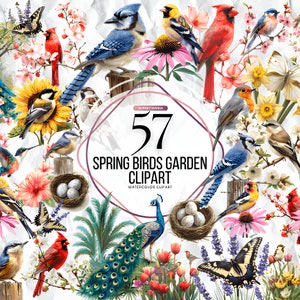57 Aquarell Vögel Frühling Garten Clipart, Frühlingsvögel Clipart, Vögel bündeln, bunte Vögel, Vögel auf Zweig Clipart, bluebird Clipart PNG