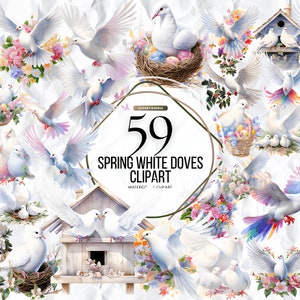 59 Clipart colomba bianca primaverile, colomba della pace, clipart acquerello stampabile, JPG di alta qualità, download digitale, artigianato di carta, diari spazzatura