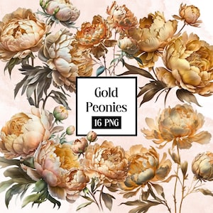 Gold Peonies png, watercolour peony clipart, peony illustration, floral clipart, watercolour flower clipart, watercolour png, gold flowers