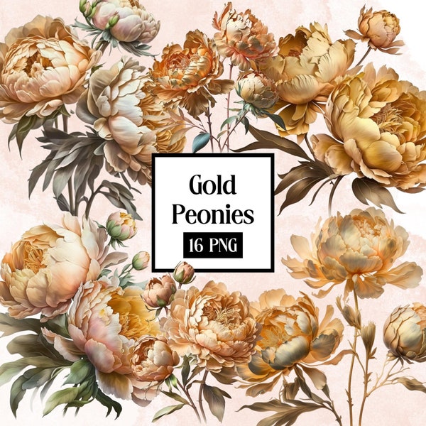 Gold Peonies png, watercolour peony clipart, peony illustration, floral clipart, watercolour flower clipart, watercolour png, gold flowers
