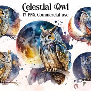 Celestial Owl Clipart, Owl png, magic clip art, mystical clipart, witchcraft png clipart, pagan clipart png, pagan png, mystical Owls