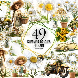 Clipart margherite dell'acquerello / fiore primaverile, bouquet floreale, fiore bianco, ghirlanda, illustrazioni della margherita / download istantaneo per uso commerciale