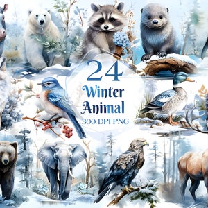Watercolor Winter Animals Clipart, Polar Bear, PNG Christmas Winter Clipart ,Penguin, Snow Leopard, Seal Illustrations, Commercial Use