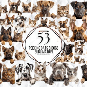 Lot de cliparts chiens chats aquarelles | Illustrations adorables de chiens Peeking Dogs Png | Race de chien PNG | Clipart furtivement chien chats