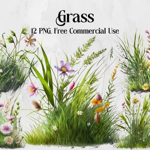 Grass clipart. Spring clipart. Floral clipart, Field, garden, blooming, PNG. summer, flowers. Digital watercolor. Free commercial use.