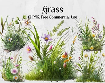 Grass clipart. Spring clipart. Floral clipart, Field, garden, blooming, PNG. summer, flowers. Digital watercolor. Free commercial use.