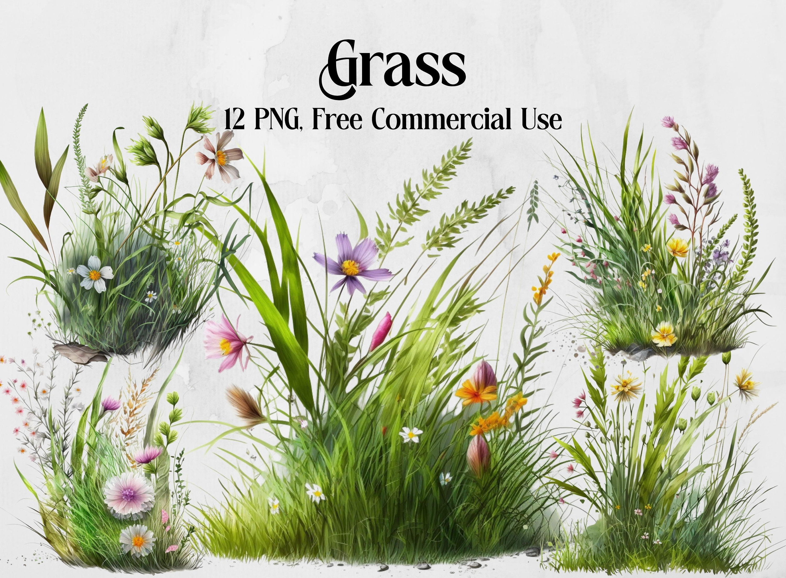 Grass Clipart. Spring Clipart. Floral Clipart Field Garden Etsy UK