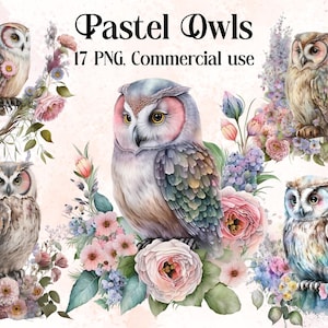 Pastell Eule Clipart, Fantasy Eule png, magische Clipart, mystische Clipart, Hexerei png Clipart, heidnische Clipart png, heidnische png, mystische Eulen