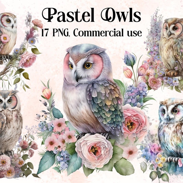 Pastel Owl Clipart, Fantasy Owl png, clip art magique, clipart mystique, clipart png de sorcellerie, png clipart païen, png païen, hiboux mystiques