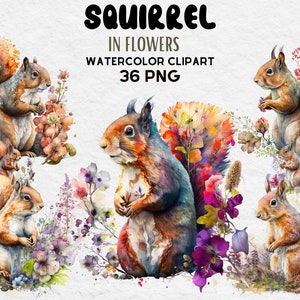 Squirrel In Flowers Watercolor Clipart, Birthday Party Decor Graphics, Cute Baby Shower Graphics, Nursery Decor Wall Art, Woodland Animal