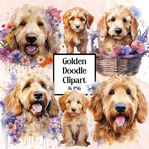 Goldendoodle Clipart | Dog PNG | Golden Doodle PNG | Cute Dog Clipart | Nursery Clipart | Dog Watercolor | Puppy Images | Commercial License