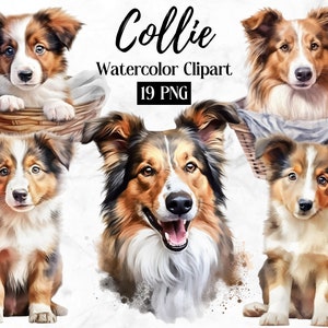 Collie Dog Clipart - 19 High Quality PNGs - Digital Planner, Junk Journaling, Watercolor, Wall Art, Commercial Use - Digital Download