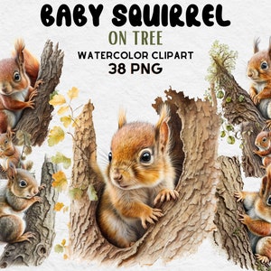 Cute Baby Squirrel On Tree Clipart, High Quality PNGs, Digital Planner, Junk Journals, Watercolor - Commercial Use - Digital Download