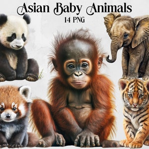 Baby Asian Animal Clipart Bundle - Watercolor Panda, Tiger, Orangutan - High Quality Png Jungle Animals for Sublimation Designs and prints