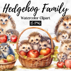 Cute Hedgehog Family Mom and Baby Clipart | Watercolor Hedgehog PNG | Nursery Wall Art | Animal Clipart | Kawaii Clipart | Cute Hedgehog
