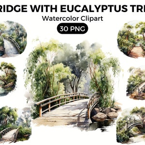 Eucalyptus Tree Bridge Clipart PNG, Trees Digital watercolor png Bridge, Watercolor Clipart Spring, Forest Trees illustration Digital Art