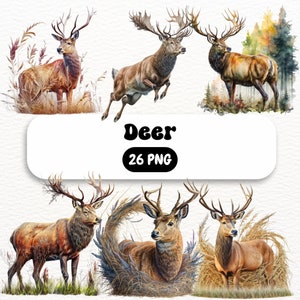 Watercolor Deer Clipart, Nursery Decor, Deer PNG, Watercolor animals clipart, Wild Life, Wild Animals, Printable Wall Art, DIGITAL DOWNLOAD