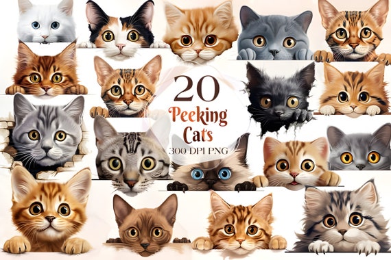 Peeking Cat Clipart, Peeking Kitten Clip Art, Peeking Cats T-Shirt Decal, Instant Download, Commercial Use, Transparent PNG Images, UD499