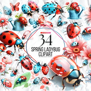 Clipart coccinella primaverile ad acquerello, clipart carina coccinella, clipart primaverile, insetto d'amore, insetto dei cartoni animati, sublimazione della coccinella, uso commerciale