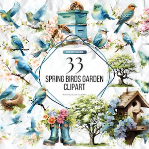 Clipart de pássaros de primavera em aquarela, clipart de pássaros de primavera, pacote de pássaros, pássaros coloridos, clipart de pássaros em galhos, clipart de pássaro azul, PNG