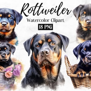 Rottweiler Clipart | Dog PNG | Rottweiler Puppy Clipart | Cute Dog Clipart | Dog Lovers Digital Portrait Art | Dog Watercolor | Puppy Images