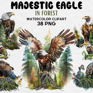 Majestic Eagle in Forest Clipart, Watercolor Eagle Clipart bundle, Eagle PNG SVG, Cute Eagle Lovers Gift Digital Clipart, Eagle Clipart
