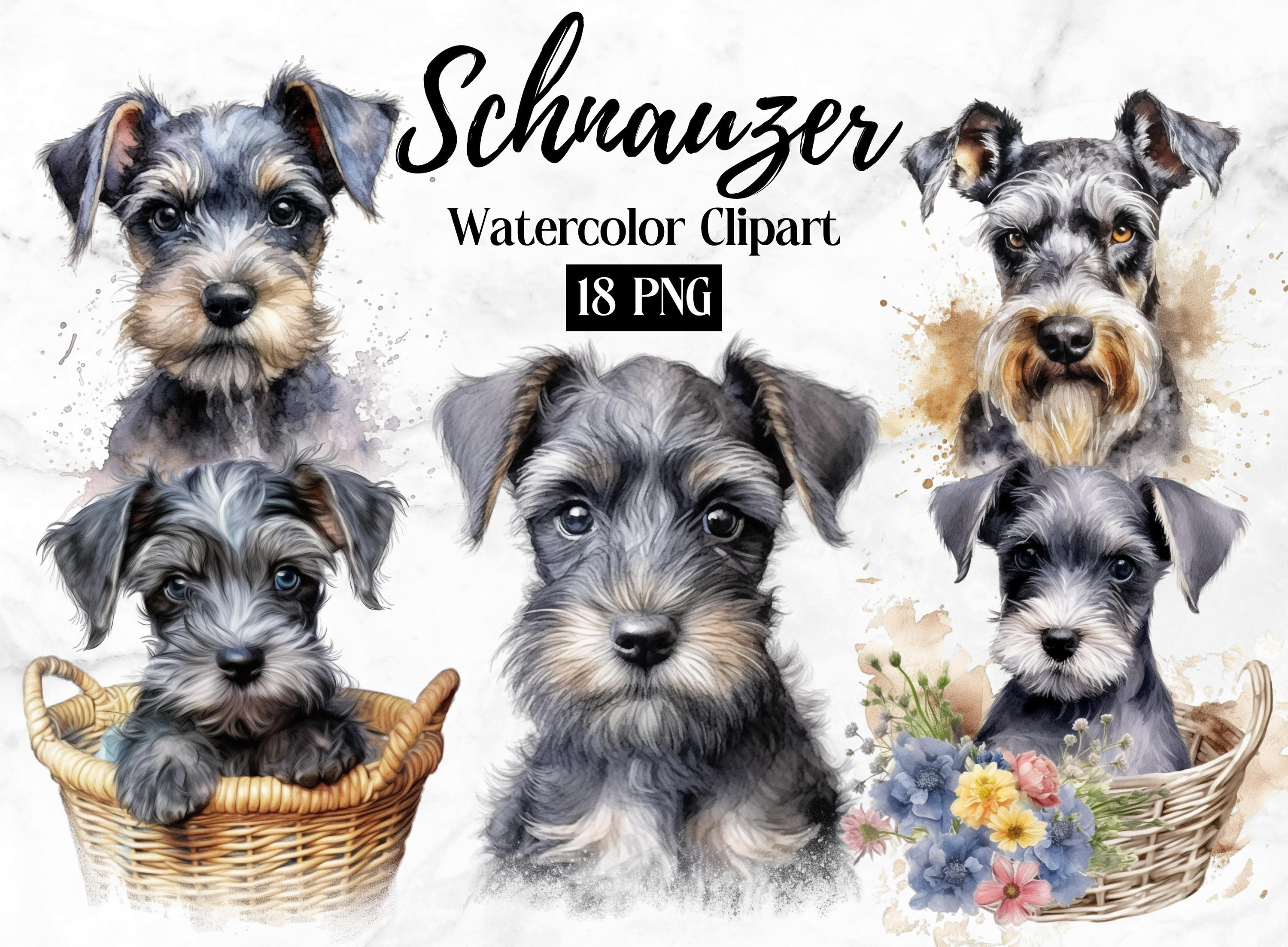 Miniature Schnauzer Clipart | Cute Dog Clipart | Dog PNG | Watercolor Schnauzer PNG | Schnauzer Wall | Dog Portrait | Puppies Clipart